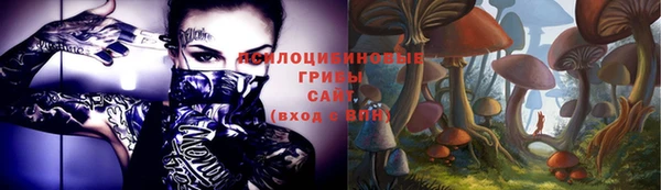a pvp Беломорск