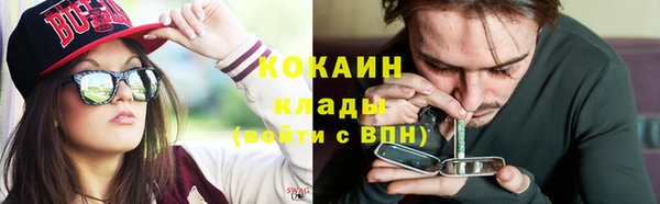 сатива Белокуриха