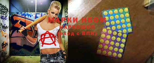 сатива Белокуриха