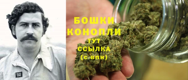 сатива Белокуриха